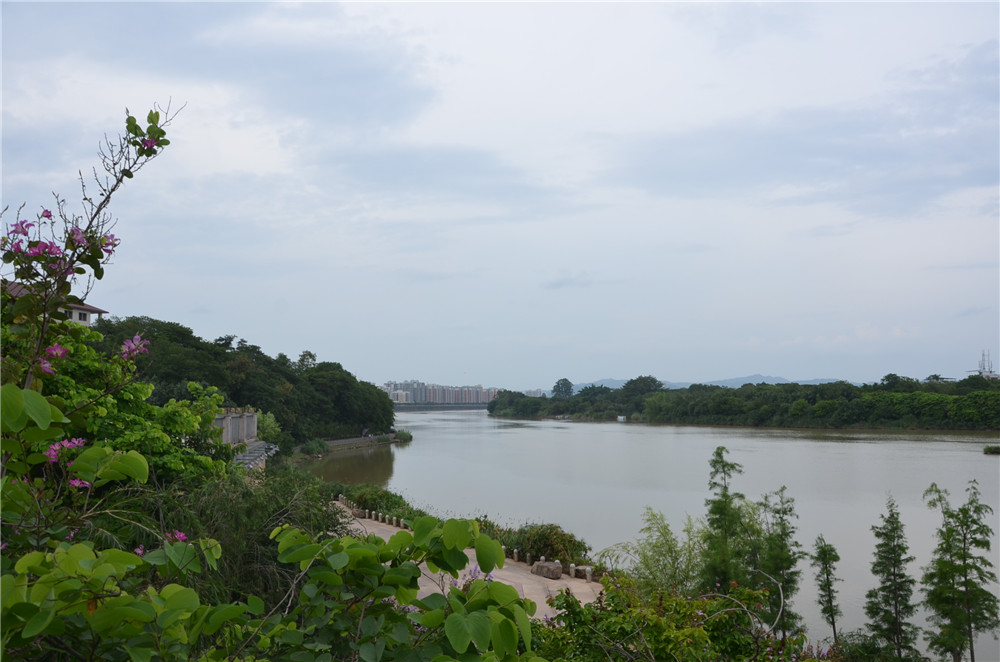 國務(wù)院：聚焦企業(yè)關(guān)切，進(jìn)一步推動優(yōu)化營商環(huán)境政策落實